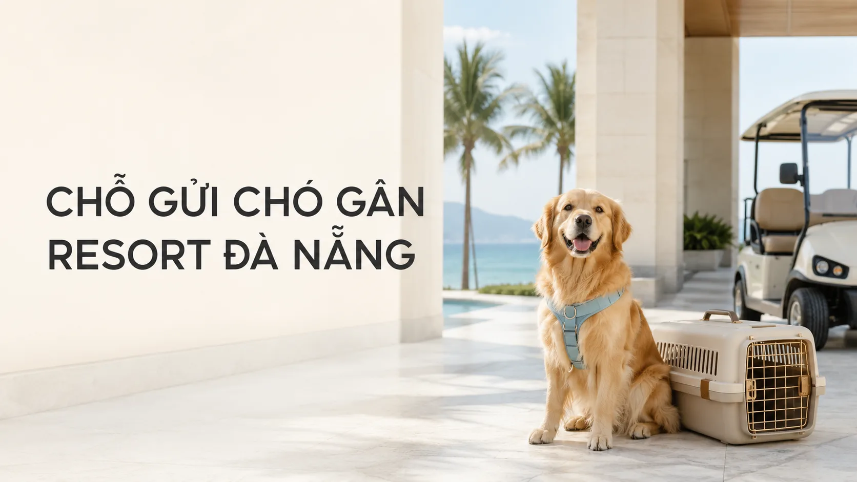 Chỗ gửi chó gần resort Đà Nẵng: Cách chọn nơi chăm sóc an toàn và thuận tiện