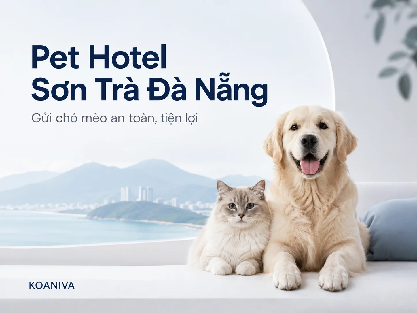 Pet Hotel Son Tra Da Nang – Gửi Chó Mèo An Toàn, Tiện Lợi