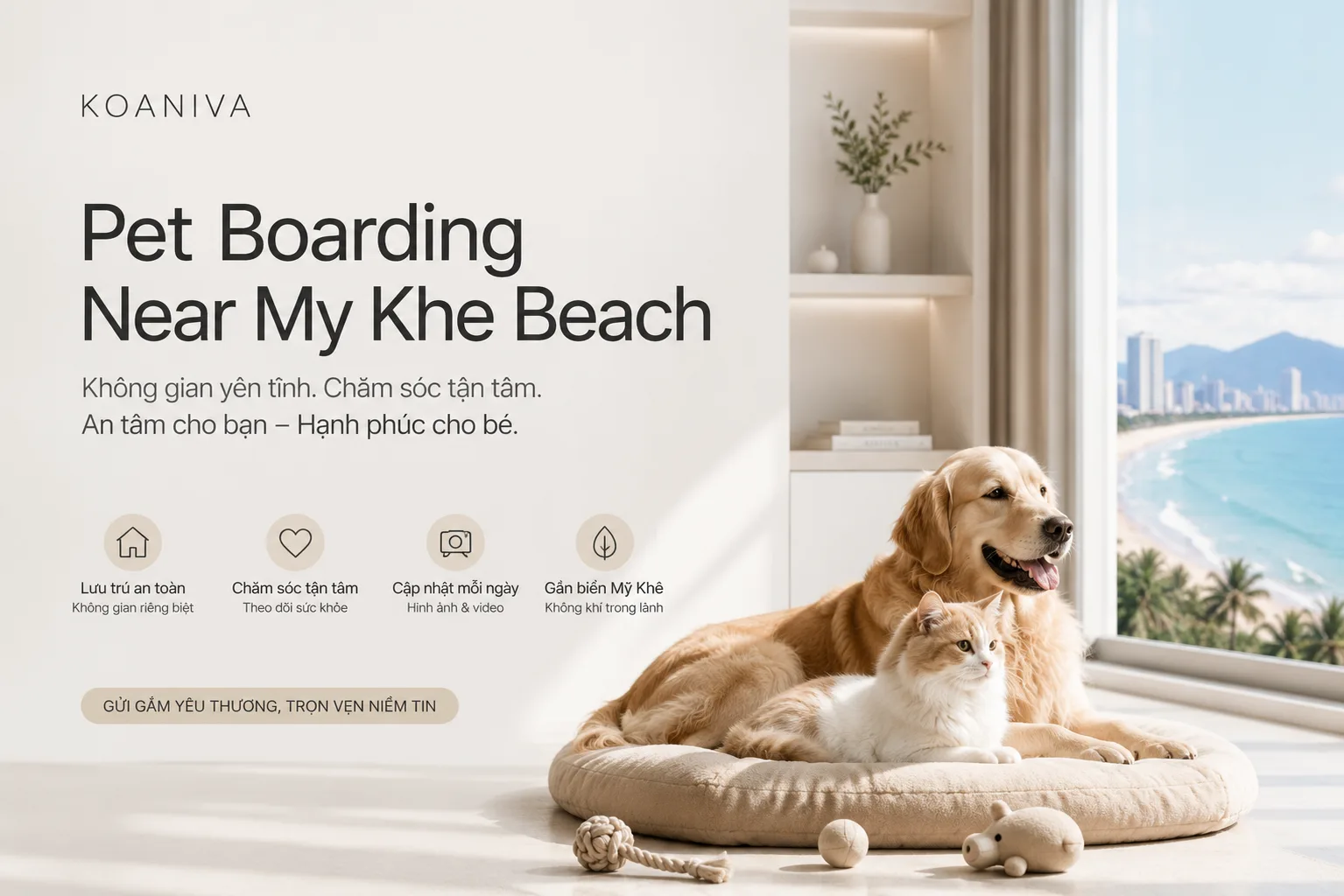 Pet Boarding Near My Khe Beach – Gửi Chó Mèo Gần Biển Mỹ Khê
