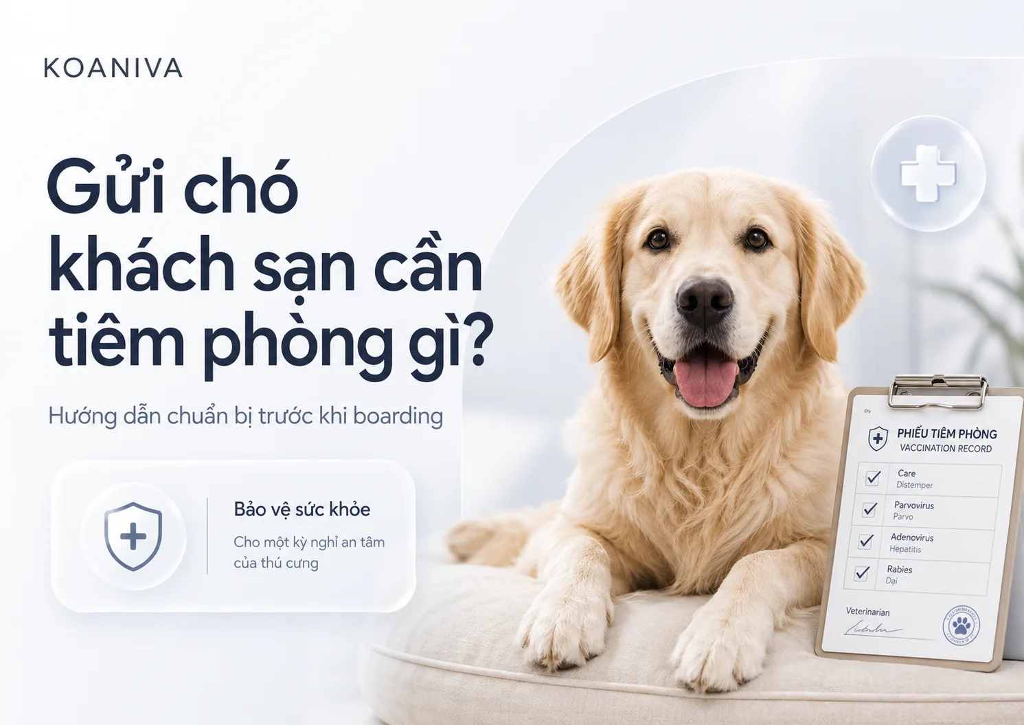 Gửi chó khách sạn cần tiêm phòng gì? Hướng dẫn đầy đủ trước khi gửi