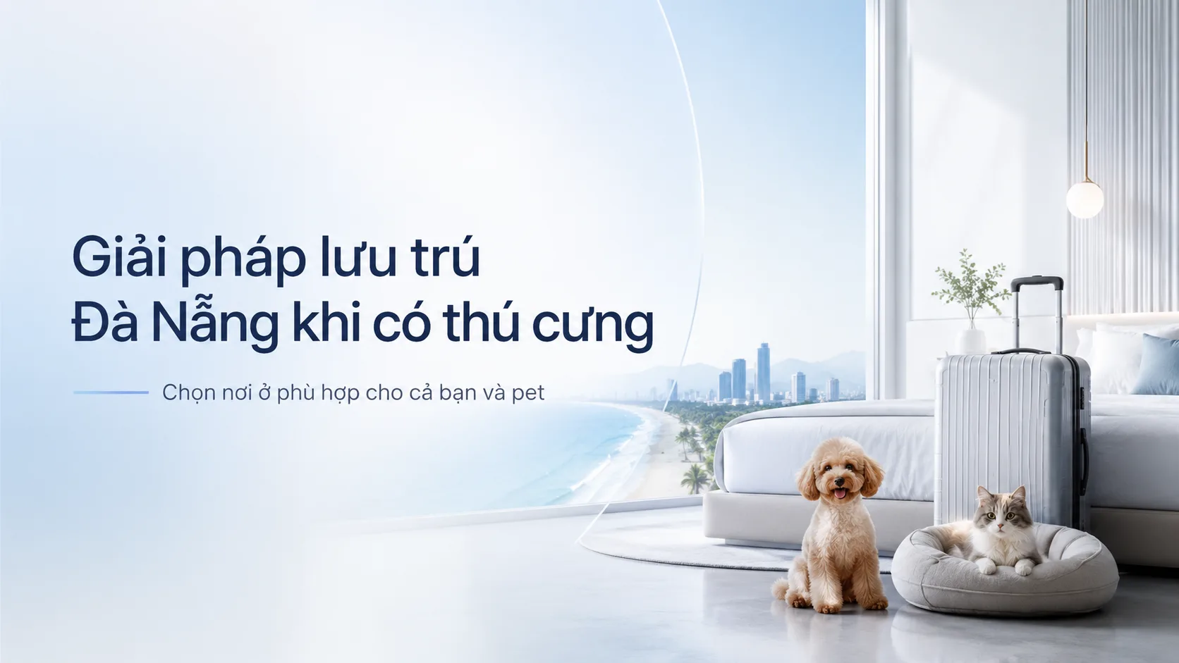 Giải pháp lưu trú Đà Nẵng khi có thú cưng: chọn chỗ ở thế nào để cả người và pet đều thoải mái?