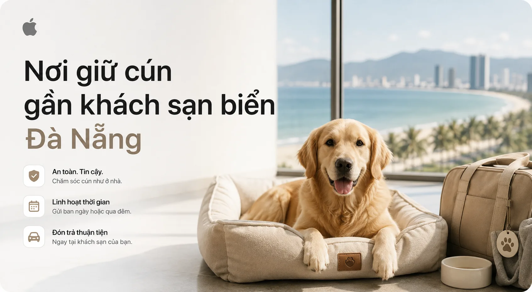 Nơi giữ cún gần khách sạn biển Đà Nẵng: cách chọn chỗ gửi an toàn, thuận tiện khi đi du lịch