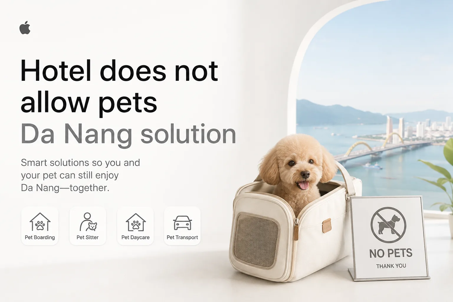 Hotel does not allow pets Da Nang solution: làm gì khi khách sạn không nhận thú cưng?