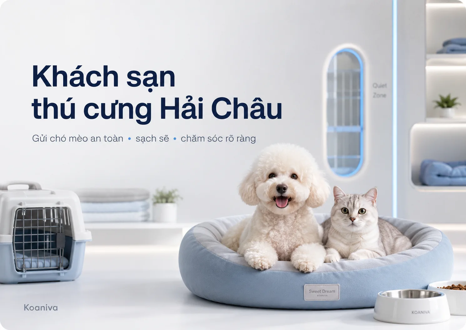 Khách sạn thú cưng Hải Châu: kinh nghiệm chọn nơi gửi chó mèo an toàn và phù hợp