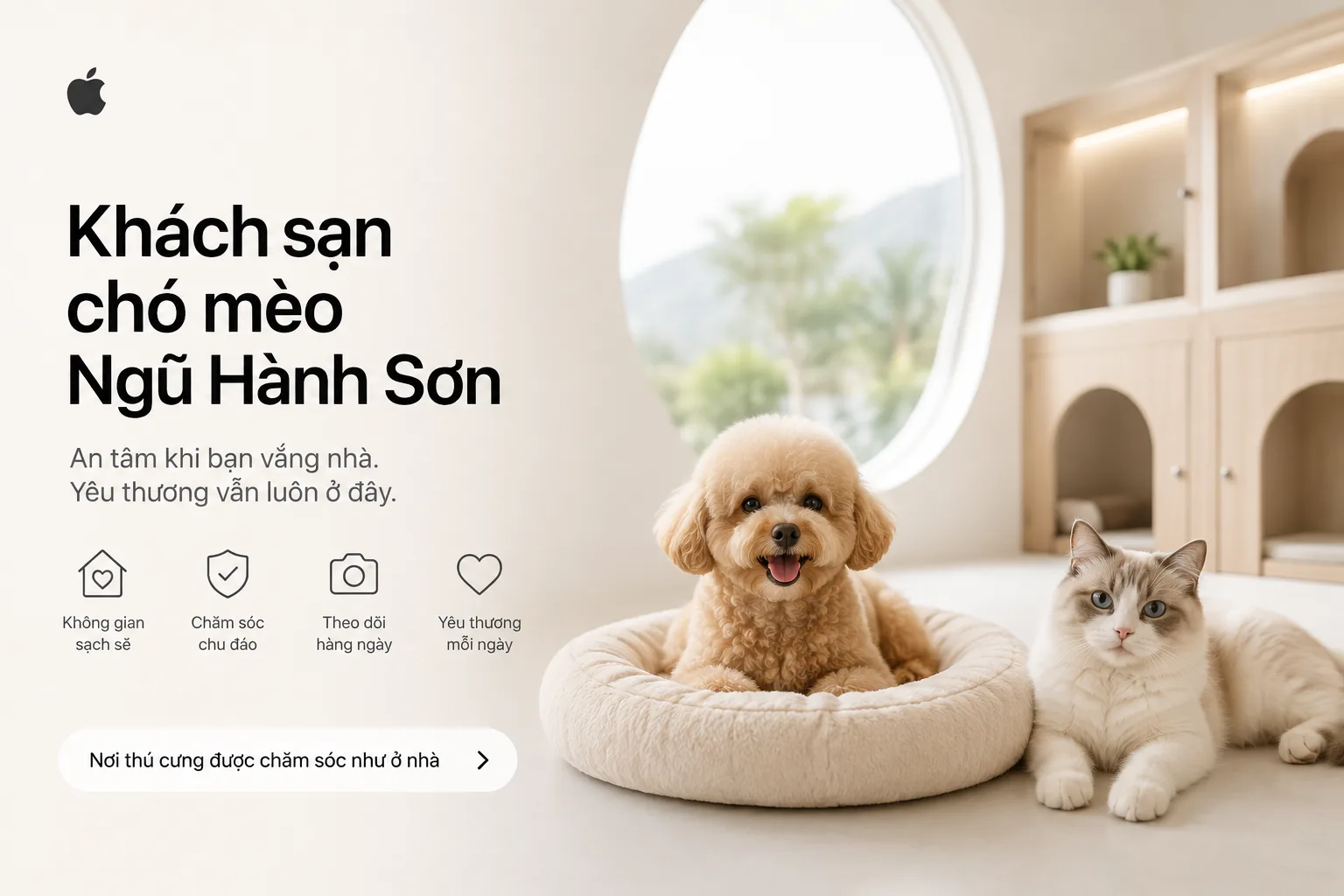 Khách sạn chó mèo Ngũ Hành Sơn: cách chọn nơi gửi pet an toàn và phù hợp