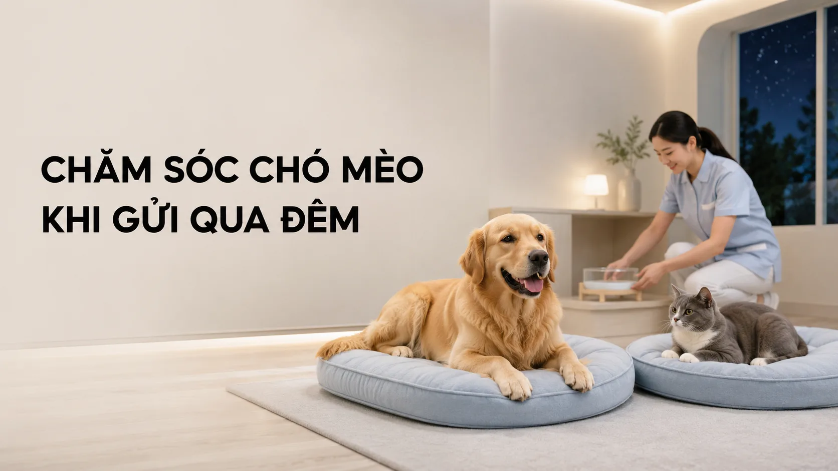 Chăm sóc chó mèo khi gửi qua đêm: hướng dẫn đầy đủ để thú cưng an toàn và ít căng thẳng