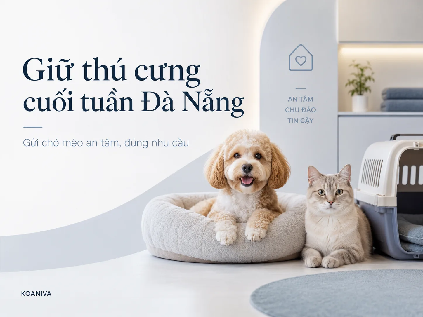 Giữ thú cưng cuối tuần Đà Nẵng: Gửi chó mèo an tâm, đúng nhu cầu