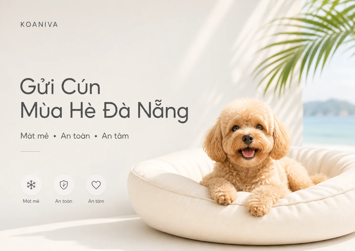 Gửi Cún Mùa Hè Đà Nẵng: Kinh Nghiệm Chăm Sóc An Toàn, Mát Mẻ