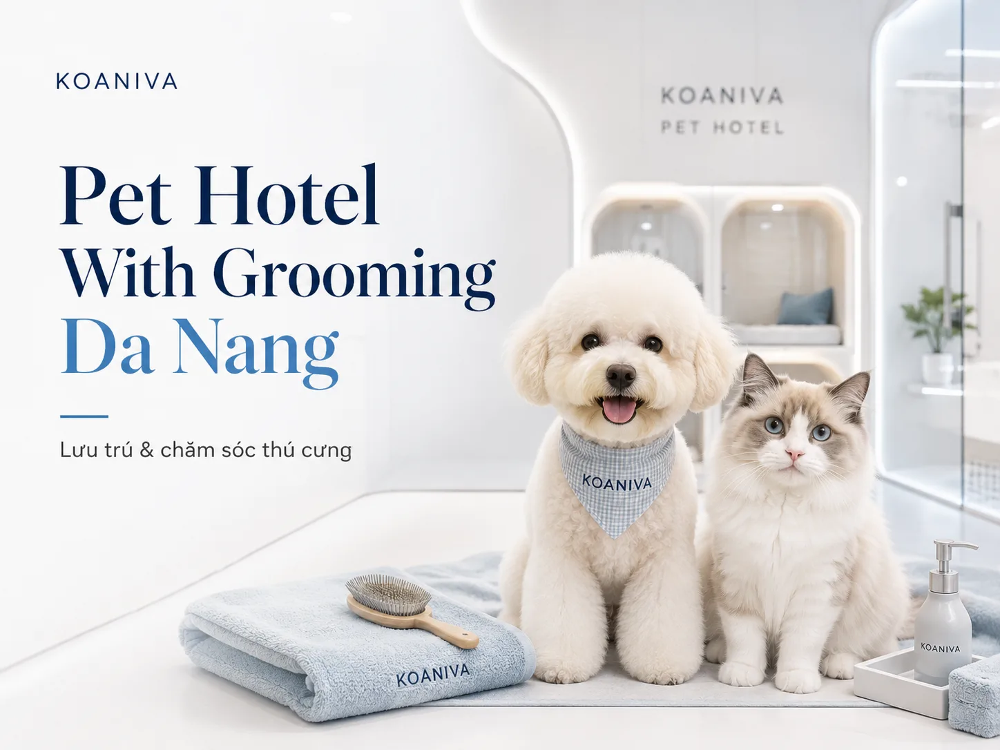 Pet Hotel With Grooming Da Nang – Lưu Trú & Chăm Sóc Thú Cưng