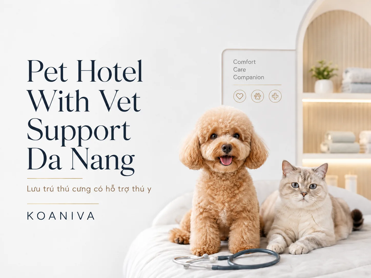 Pet Hotel With Vet Support Da Nang – Lưu Trú Thú Cưng An Tâm, Có Hỗ Trợ Thú Y
