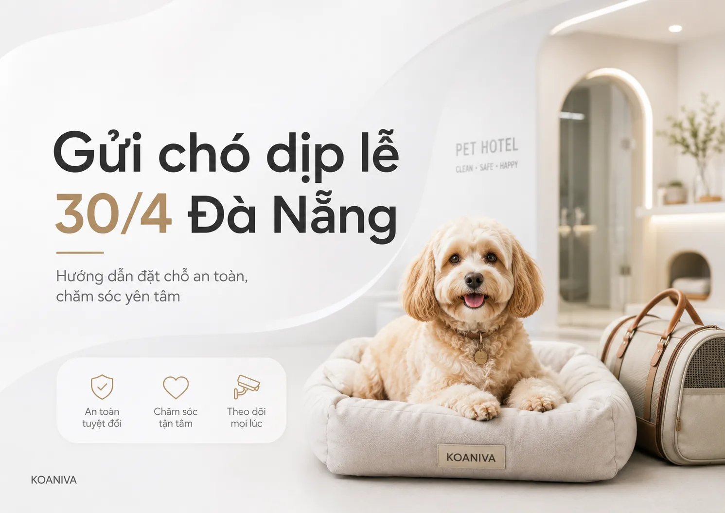 Gửi Chó Dịp Lễ 30/4 Đà Nẵng: Kinh Nghiệm Đặt Chỗ An Toàn