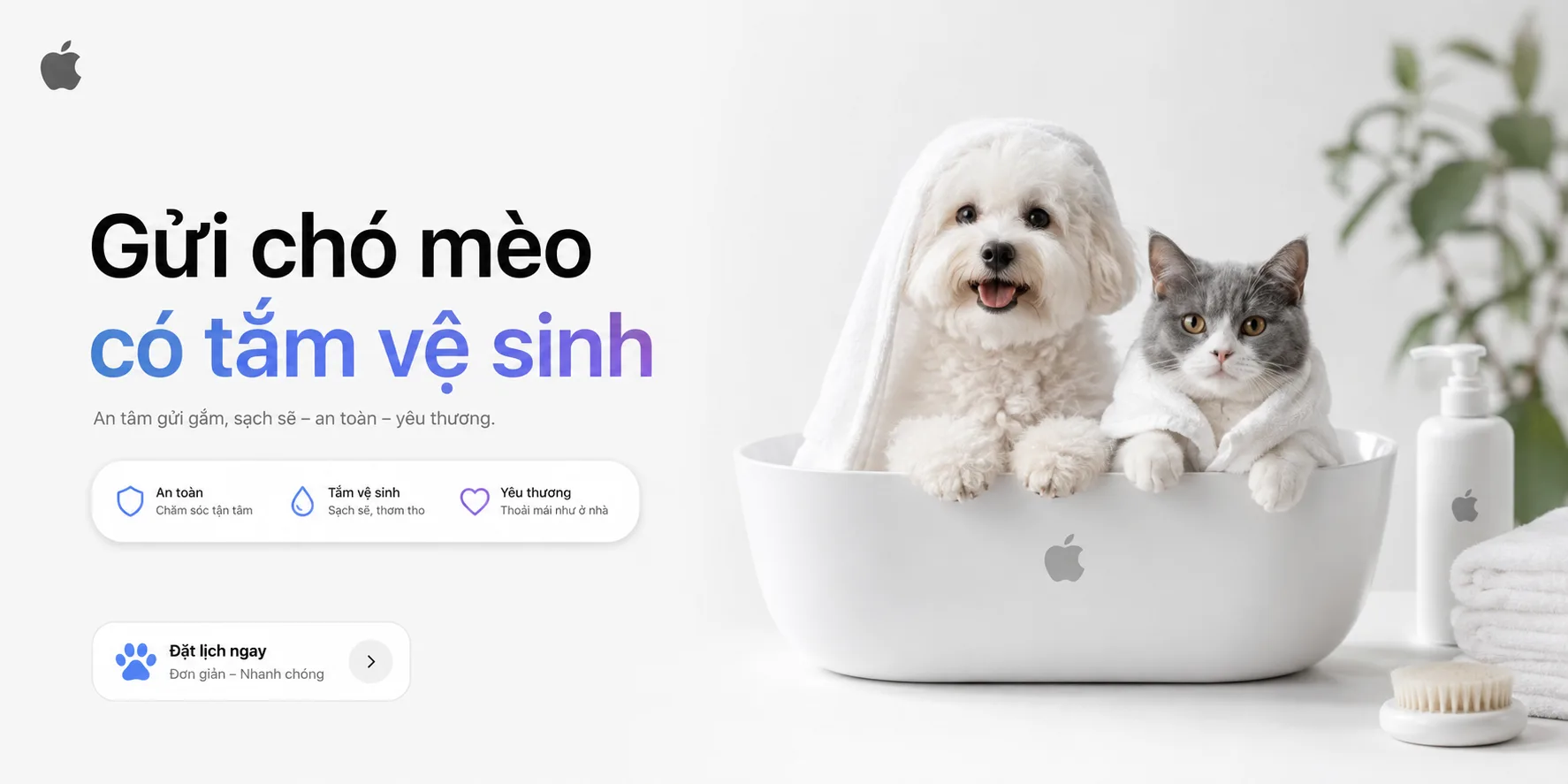 Gửi chó mèo có tắm vệ sinh: Cần hỏi gì để thú cưng sạch sẽ khi về nhà?