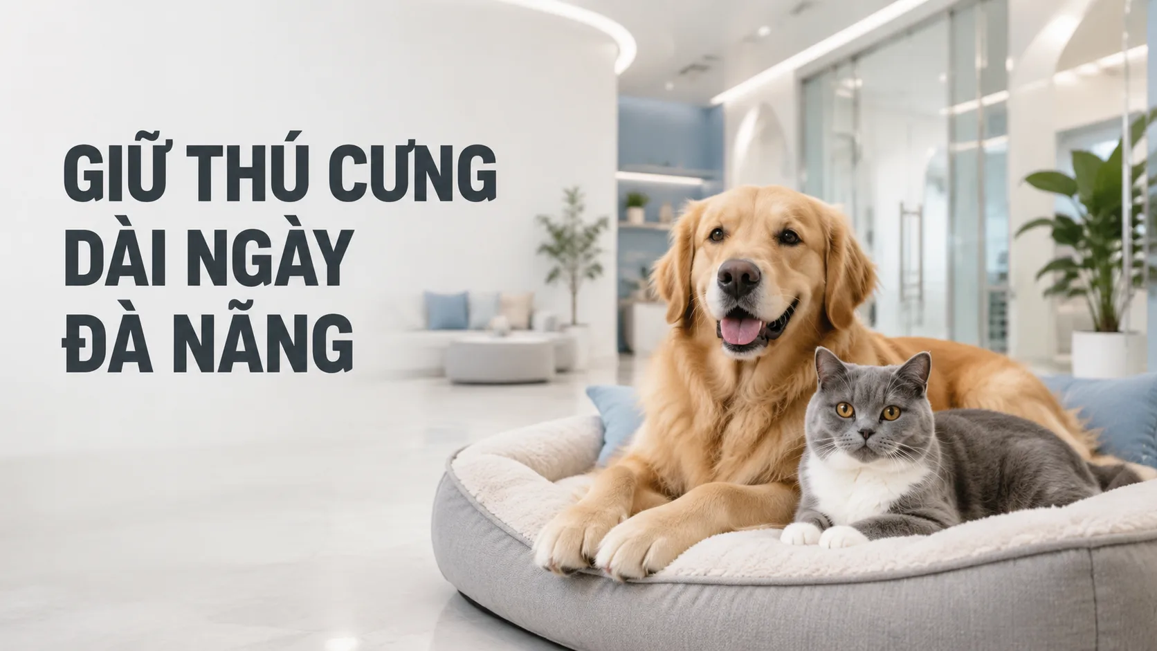Giữ thú cưng dài ngày Đà Nẵng: hướng dẫn chọn nơi chăm sóc an toàn