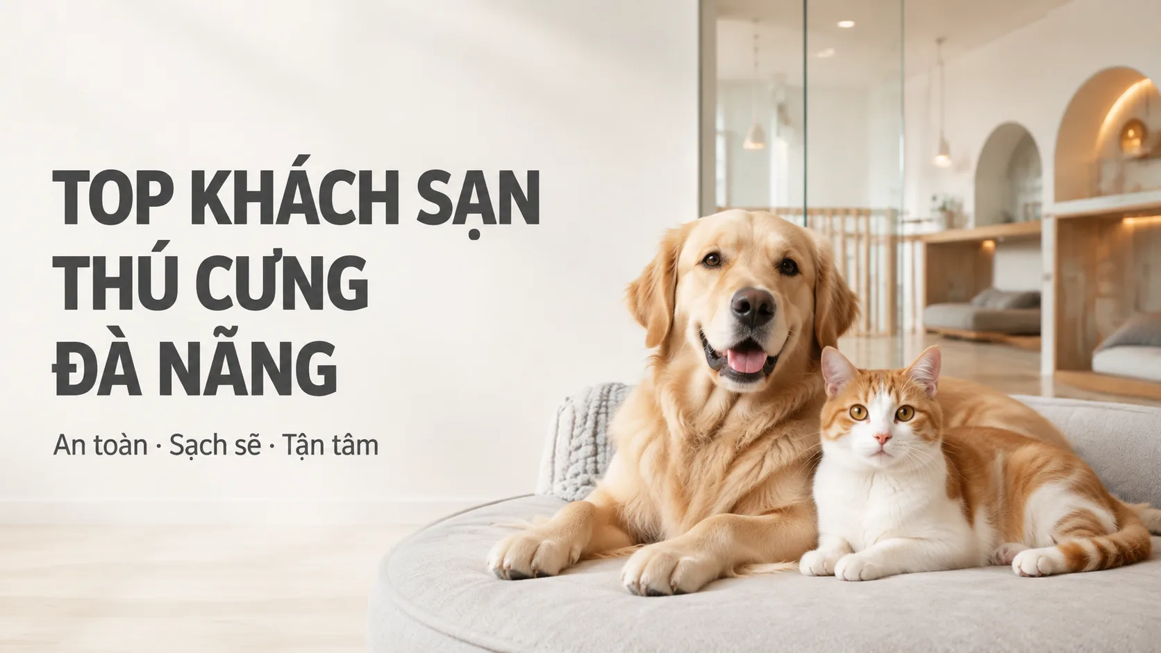 Top khách sạn thú cưng Đà Nẵng: Cách chọn nơi gửi chó mèo an toàn