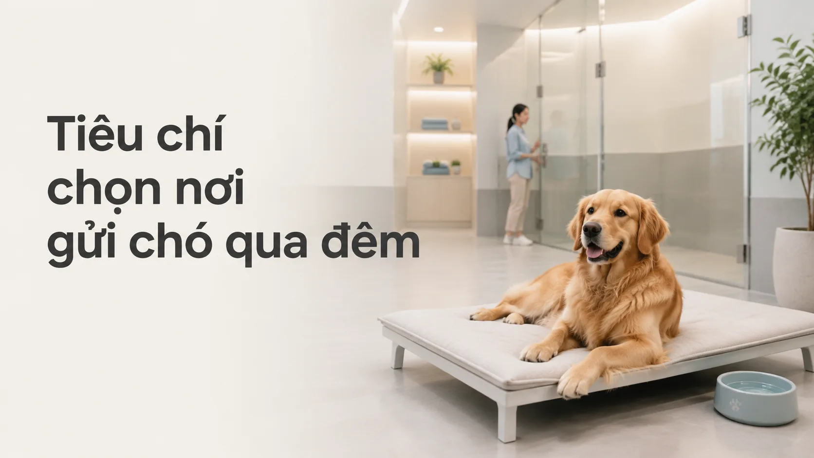 Tiêu chí chọn nơi gửi chó qua đêm an toàn và phù hợp