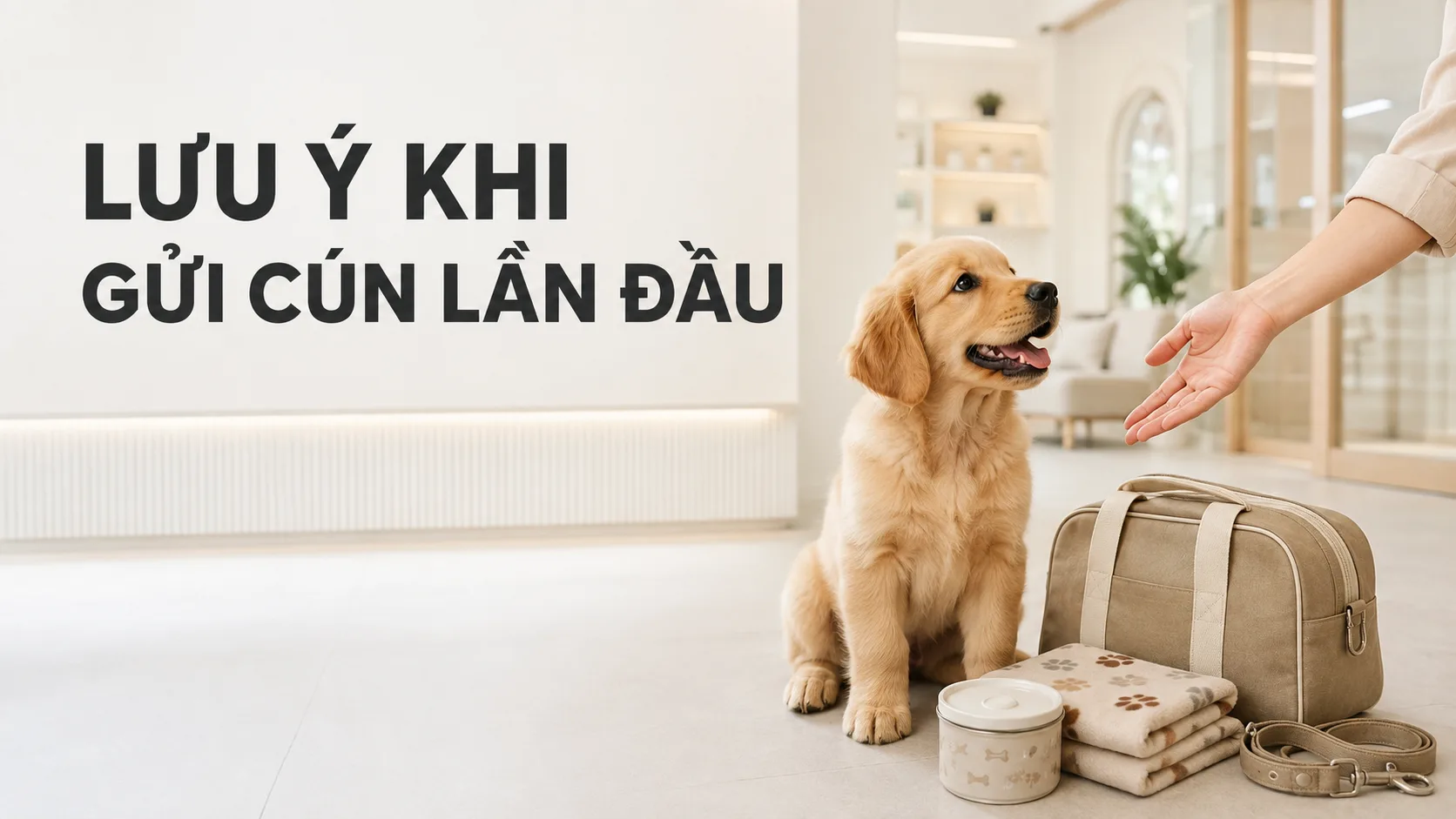 Lưu ý khi gửi cún lần đầu: Hướng dẫn chuẩn bị đầy đủ và an toàn