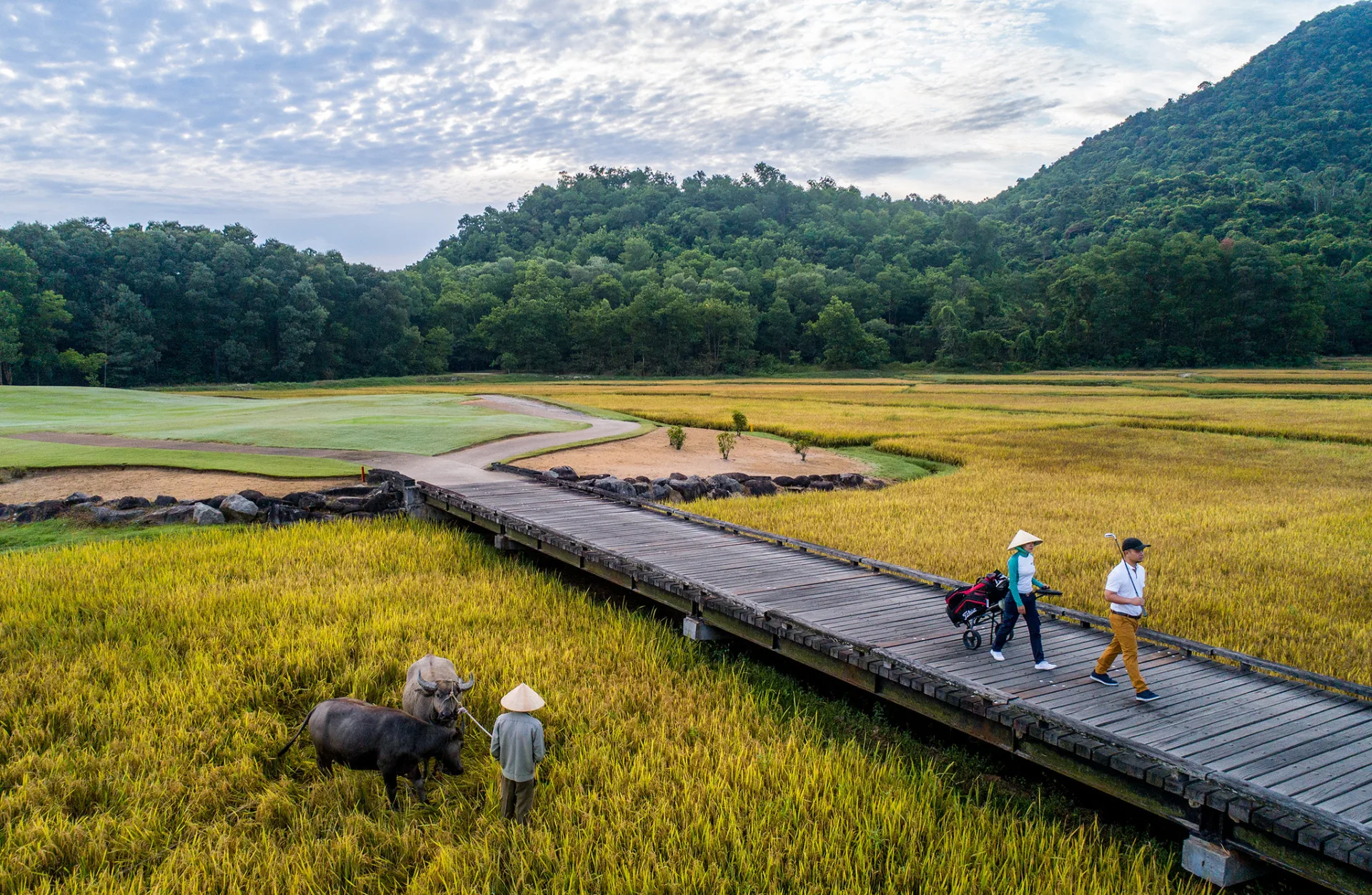 Laguna Golf Lăng Cô nằm trong quần thể nghỉ dưỡng, phù hợp với khách yêu thích golf.
