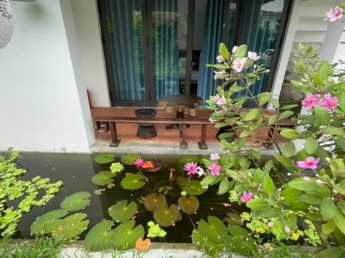 Hồ cảnh