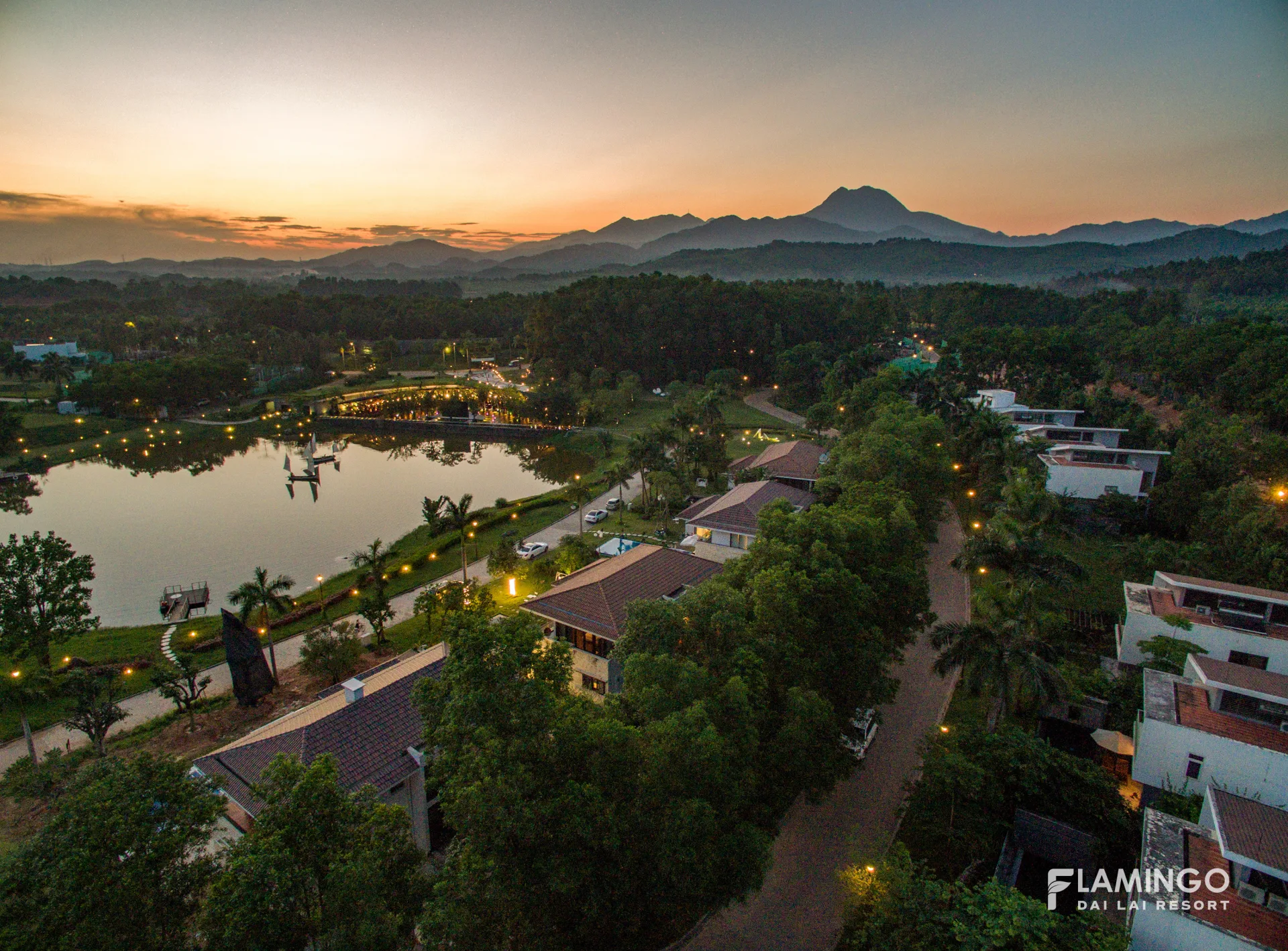 FLAMINGO ĐẠI LẢI