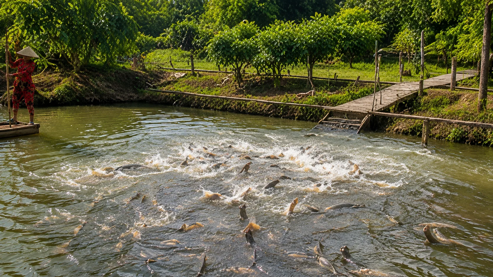 Tour Cần Thơ 1 Ngày – Chợ Nổi Cái Răng & Cồn Sơn