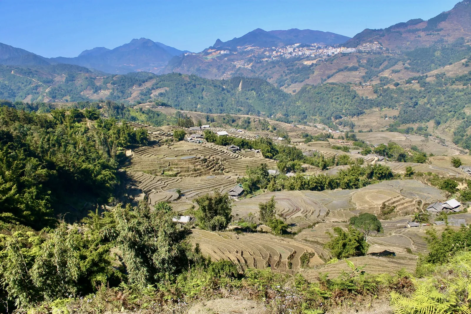 Tour Bắc – Trung Việt Nam 10 Ngày 9 Đêm Từ TP.HCM – Sapa, Hạ Long, Đà Nẵng & Huế