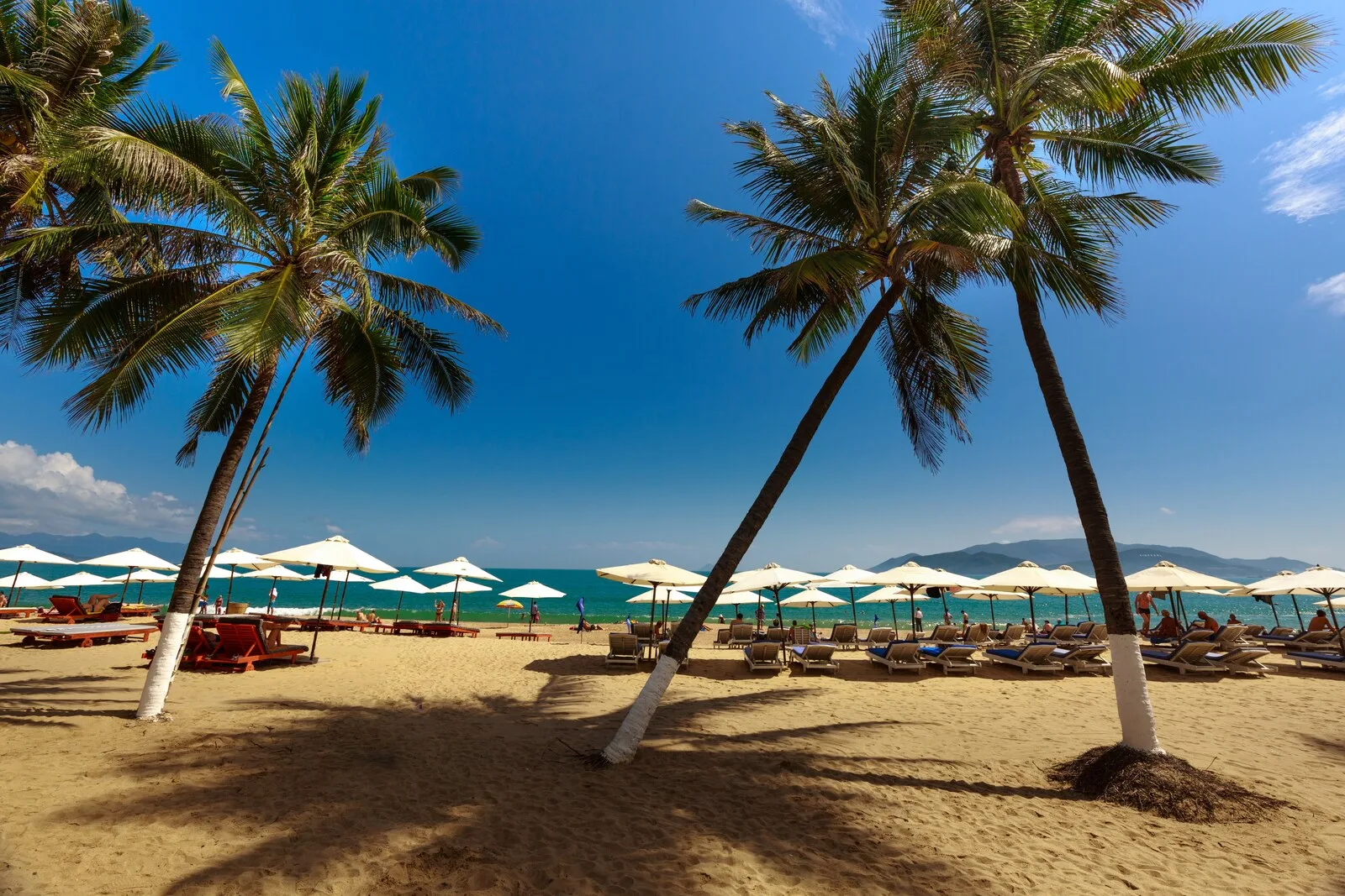 Tour Nha Trang – Đà Lạt 5 Ngày 4 Đêm Từ TP.HCM – Biển Đảo & Cao Nguyên