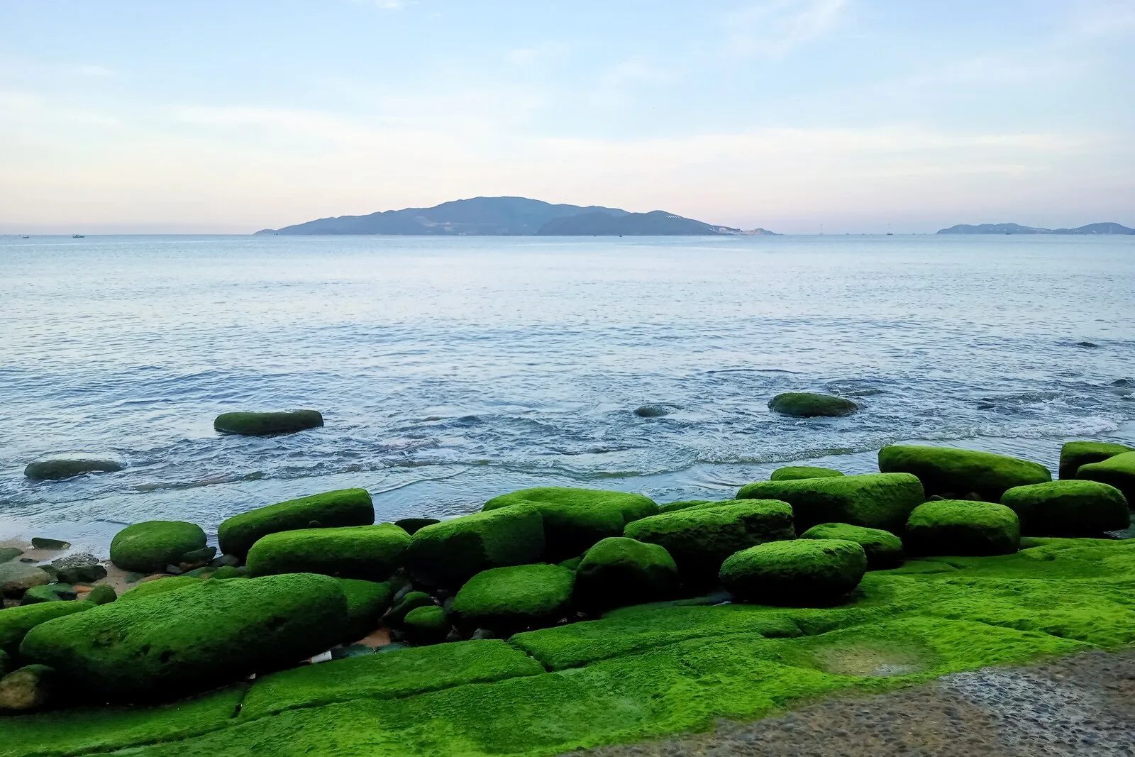 Tour Nha Trang – Đà Lạt 5 Ngày 4 Đêm Từ TP.HCM – Biển Đảo & Cao Nguyên