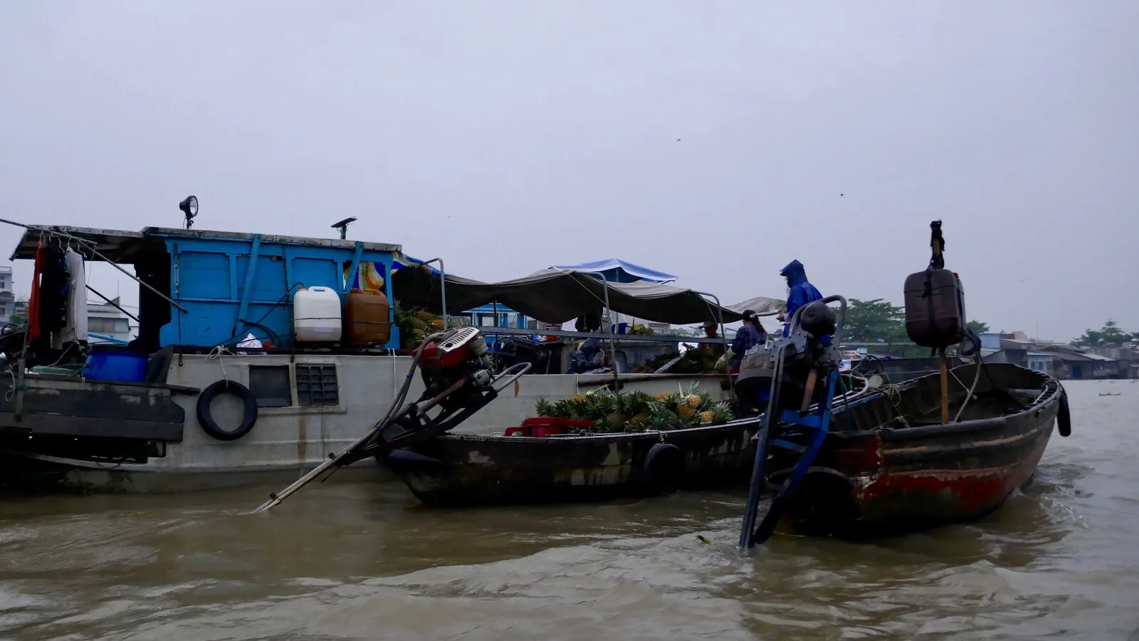 4-Day 3-Night Mekong Delta and Ca Mau Cape Tour from Ho Chi Minh City