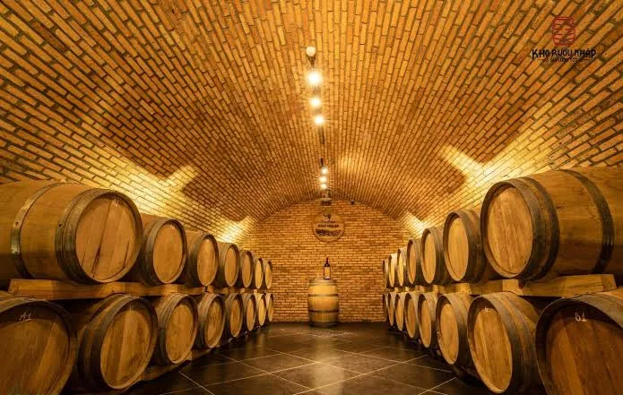 Wine Cellar Discovery