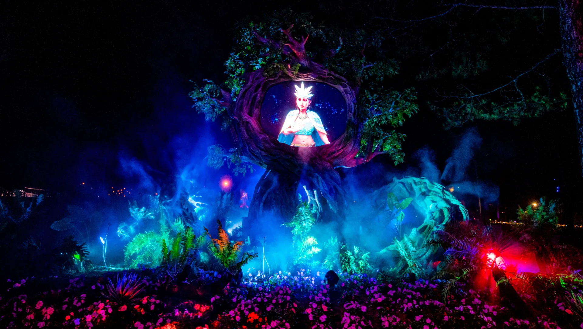 Starry Fairyland Night Experience