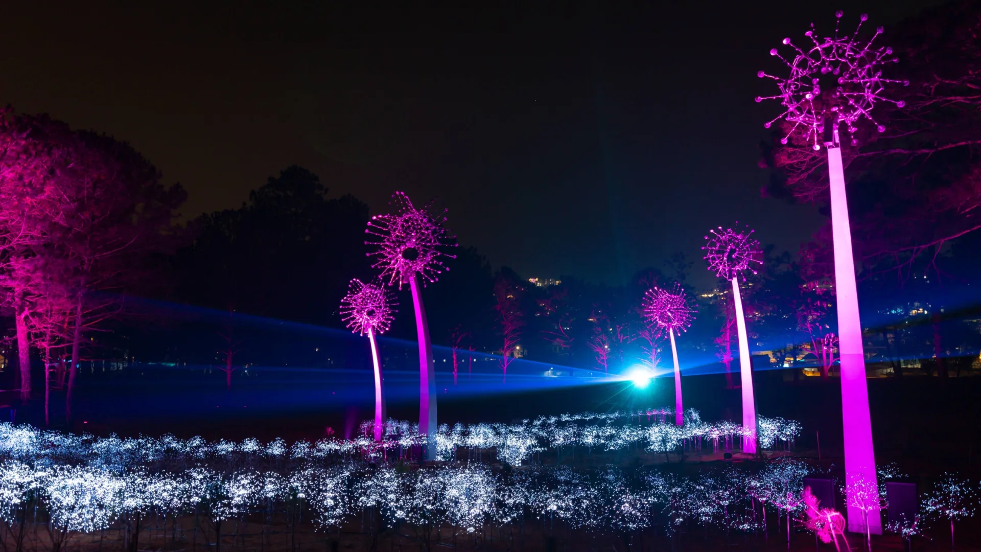 Vé Delight Park Đà Lạt