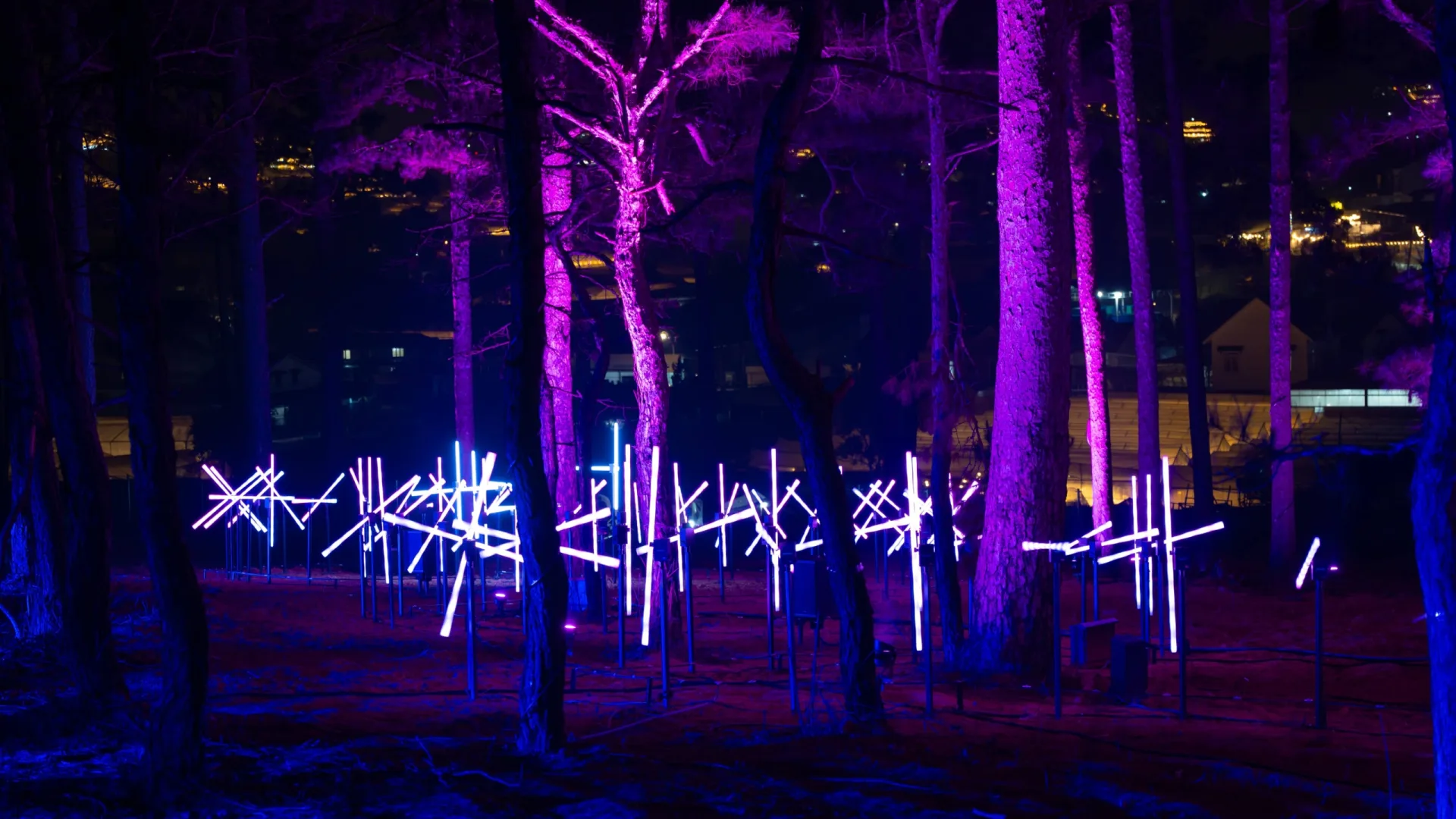 Vé Delight Park Đà Lạt