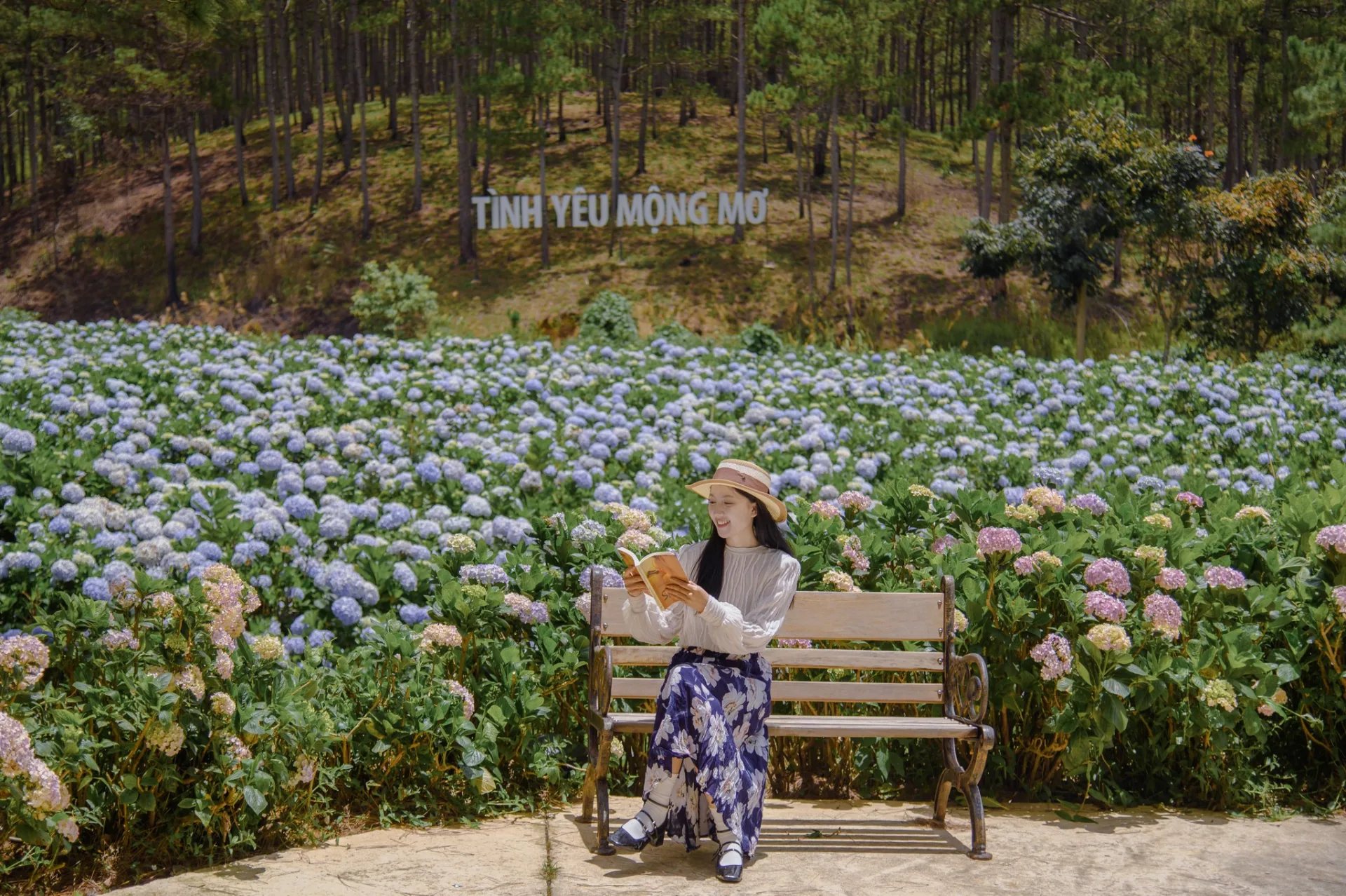 Flower Valley and Hydrangea Garden