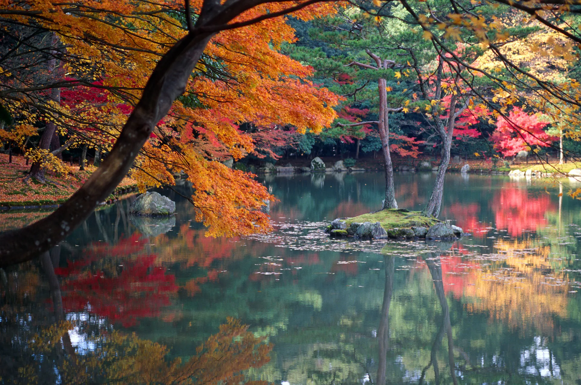 Japan Golden Route 2026 – Romantic Autumn 6D5N