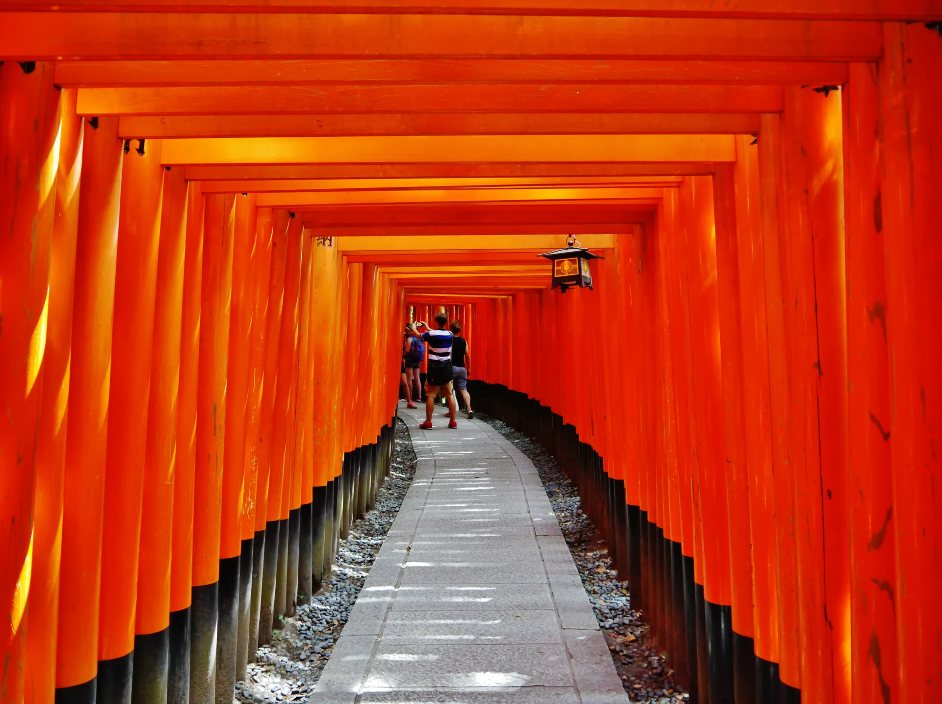To-ji Temple & Fushimi Inari Taisha