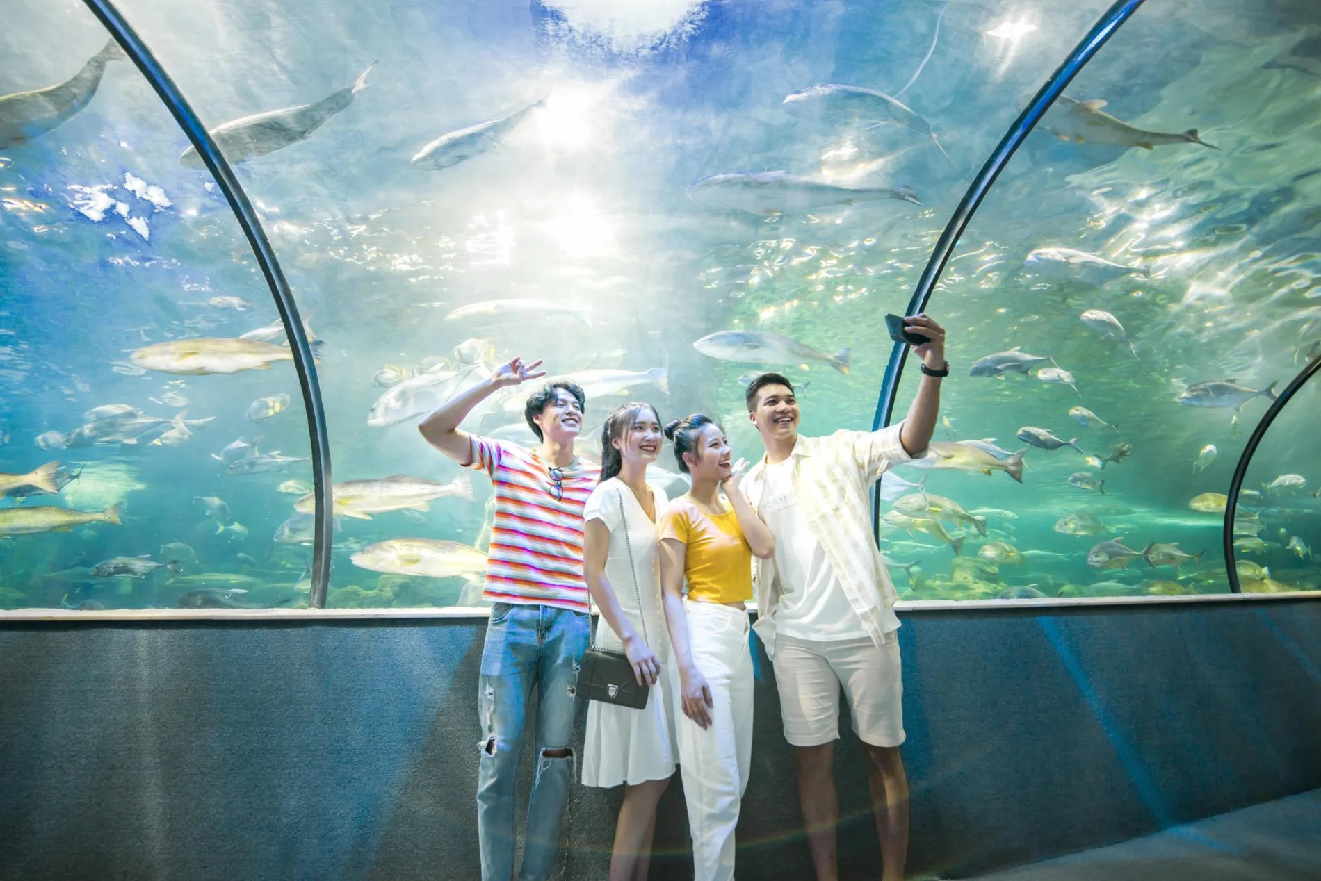 Explore VinKE Edutainment Space