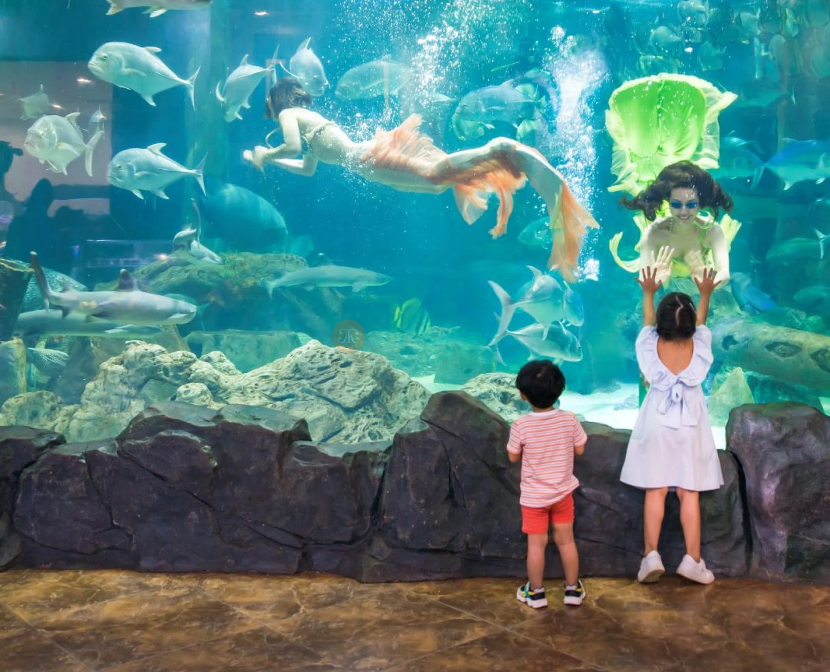 Reptile and Wildlife Discovery