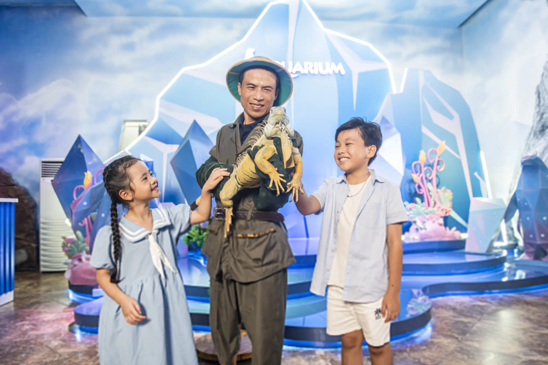 Watch Aquarium Shows and Feeding Sessions