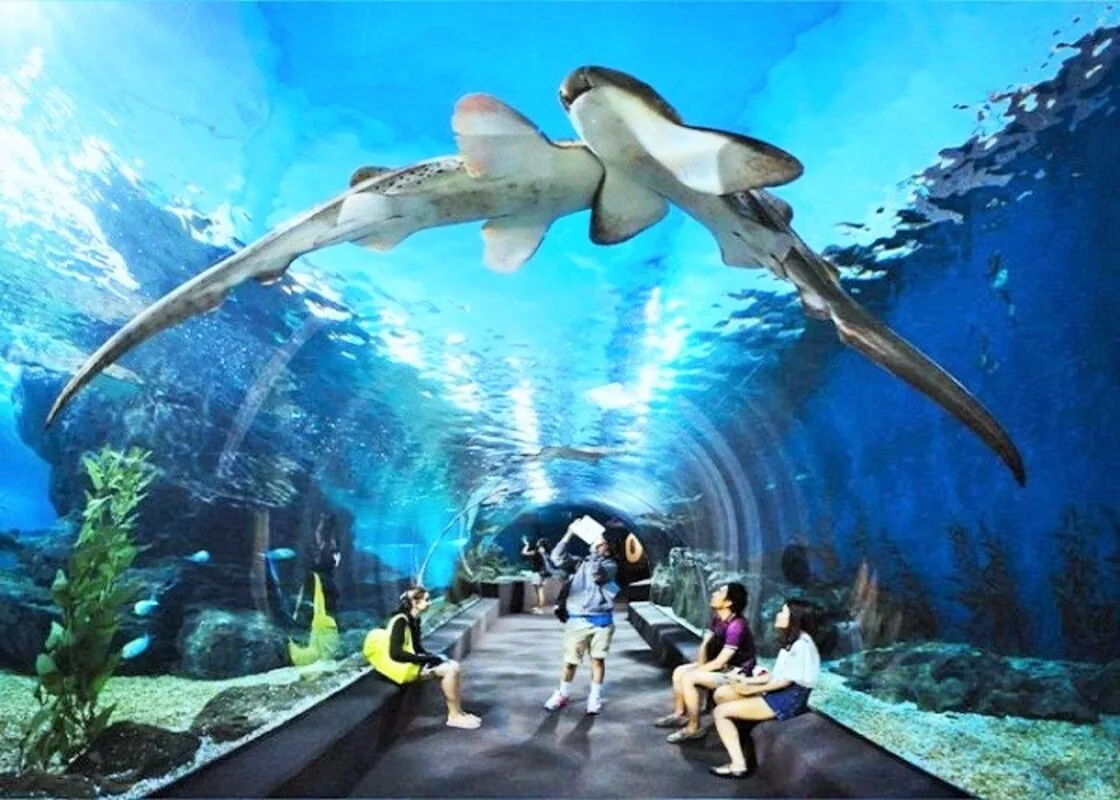 VinKE & Vinpearl Aquarium Times City Hanoi Ticket