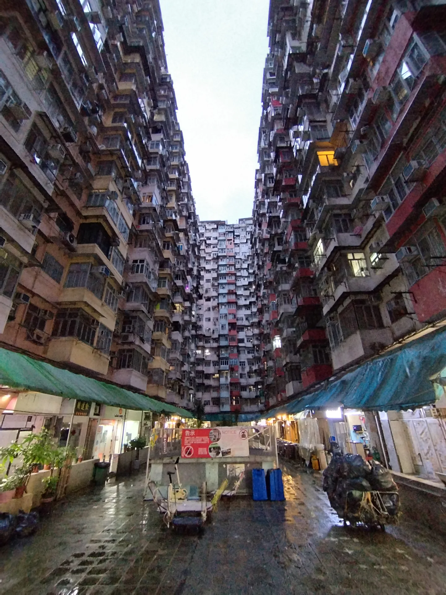 Golden Bauhinia Square – Monster Building – Hong Kong Tram – Victoria Harbour