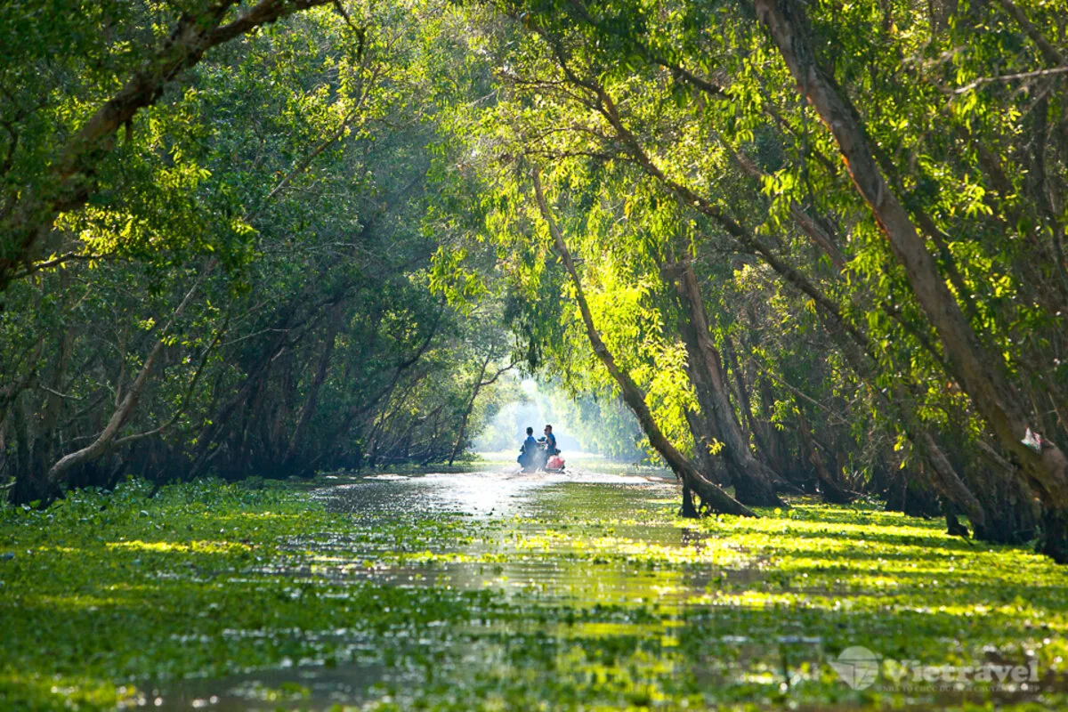 Explore Tra Su Cajuput Forest
