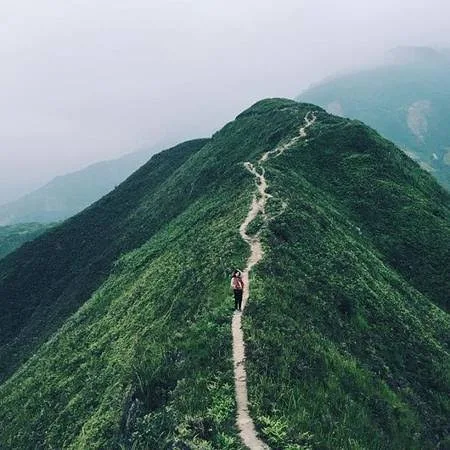 Sống Lưng Khủng Long – Háng Đồng