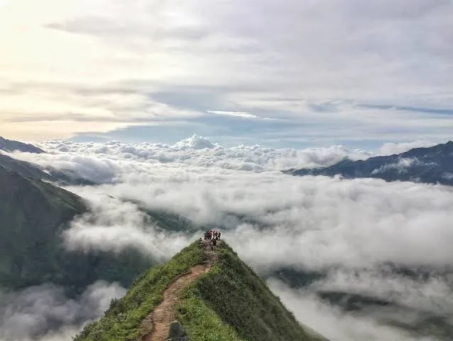 Tour Hà Nội – Tà Xùa 2N1Đ: Săn Mây & Sống Lưng Khủng Long