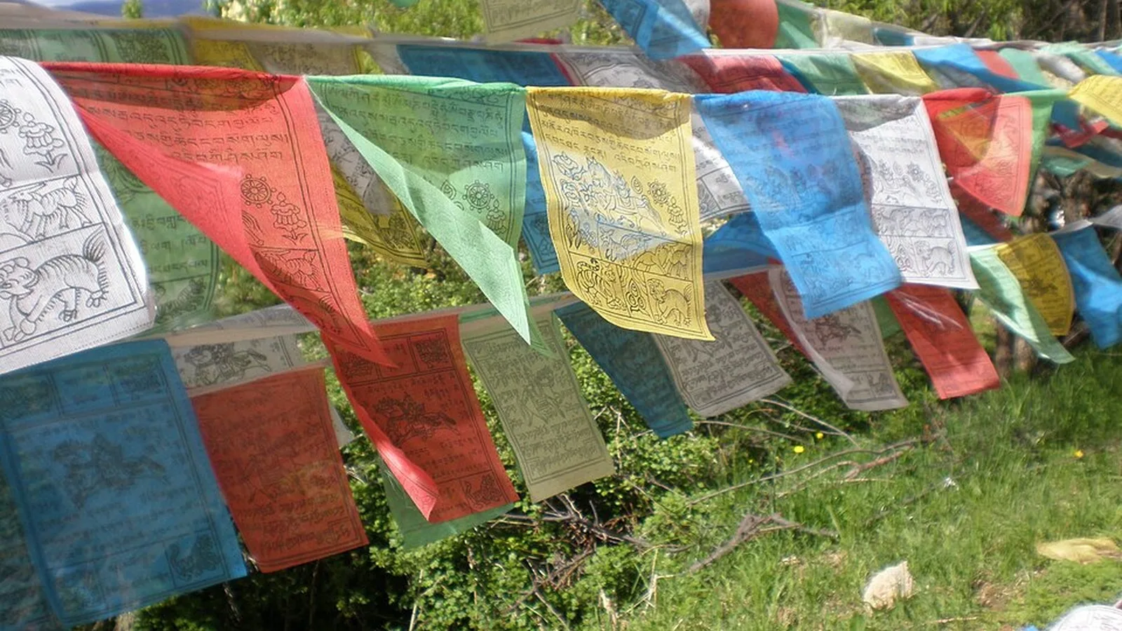 Yak Museum – Nam Ha Sac Dat – Lijiang